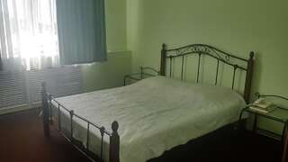 Мотели Sapsan Motel Павлодар Двухместный номер с 1 кроватью-6